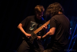 IMG_6172-Bearbeitet_1920exp