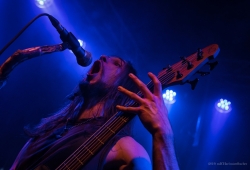 IMG_6873-Bearbeitet_1920exp