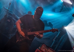 IMG_8284-Bearbeitet_1920
