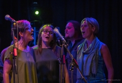 IMG_8917-Bearbeitet_1920exp