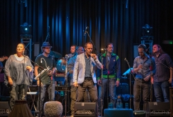 IMG_9003-Bearbeitet_1920exp