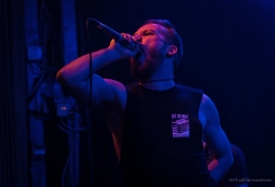 IMG_7181-Bearbeitet_1920exp