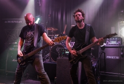 IMG_7390-Bearbeitet_1920exp