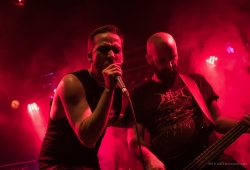 IMG_7647-Bearbeitet_1920exp