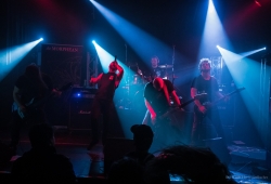 IMG_7787-Bearbeitet_1920exp