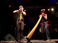 mischkultur-003