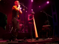 mischkultur-010